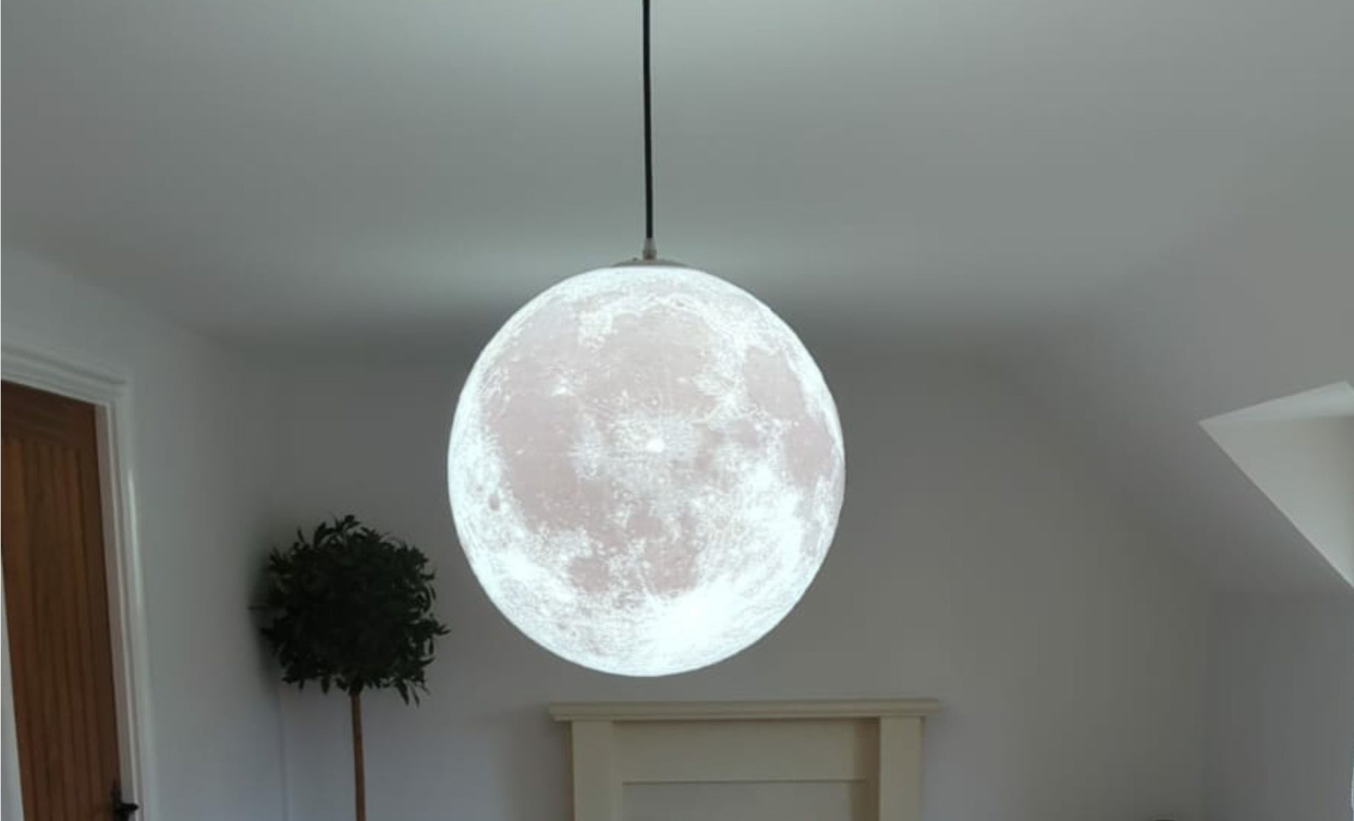The Everyone's Moon