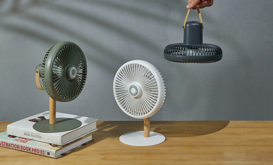 Beyond Portable & Detachable Desk Fan/ Light