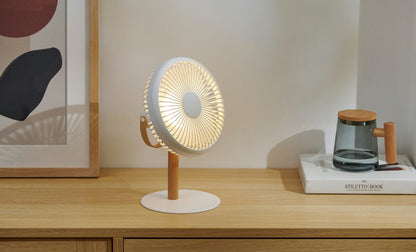 Beyond Portable & Detachable Desk Fan/ Light