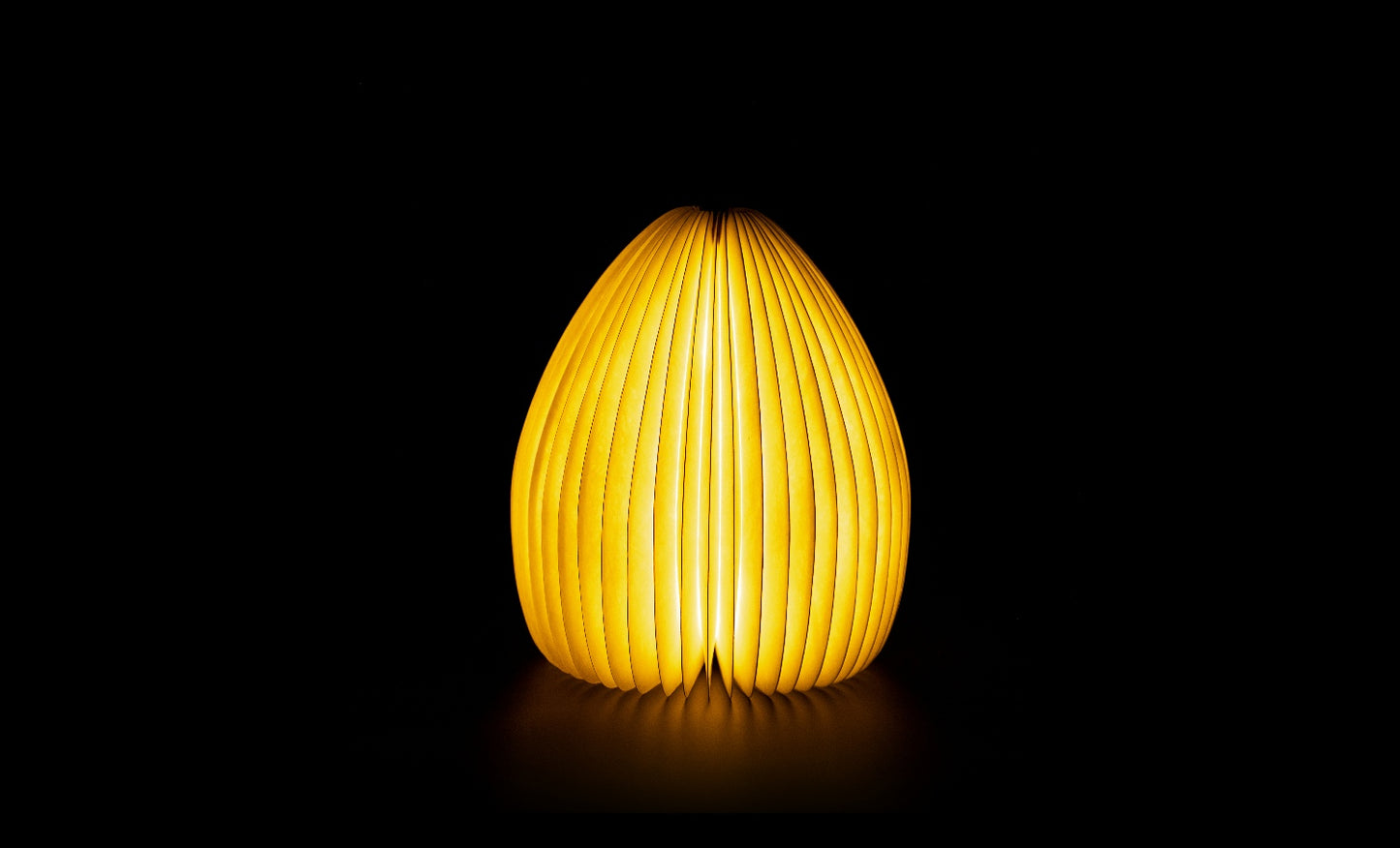 Smart Vase Light