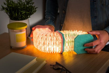 Velvet Accordion Lamp