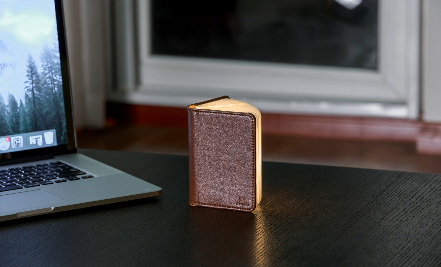 Smart Book Light (Fibre Leather)
