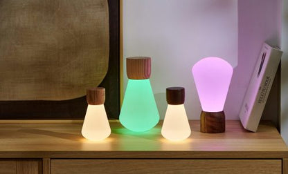 Pentagon Desk Bulb