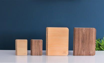 Smart Book Light (Natural Wood)
