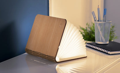 Smart Book Light (Natural Wood)