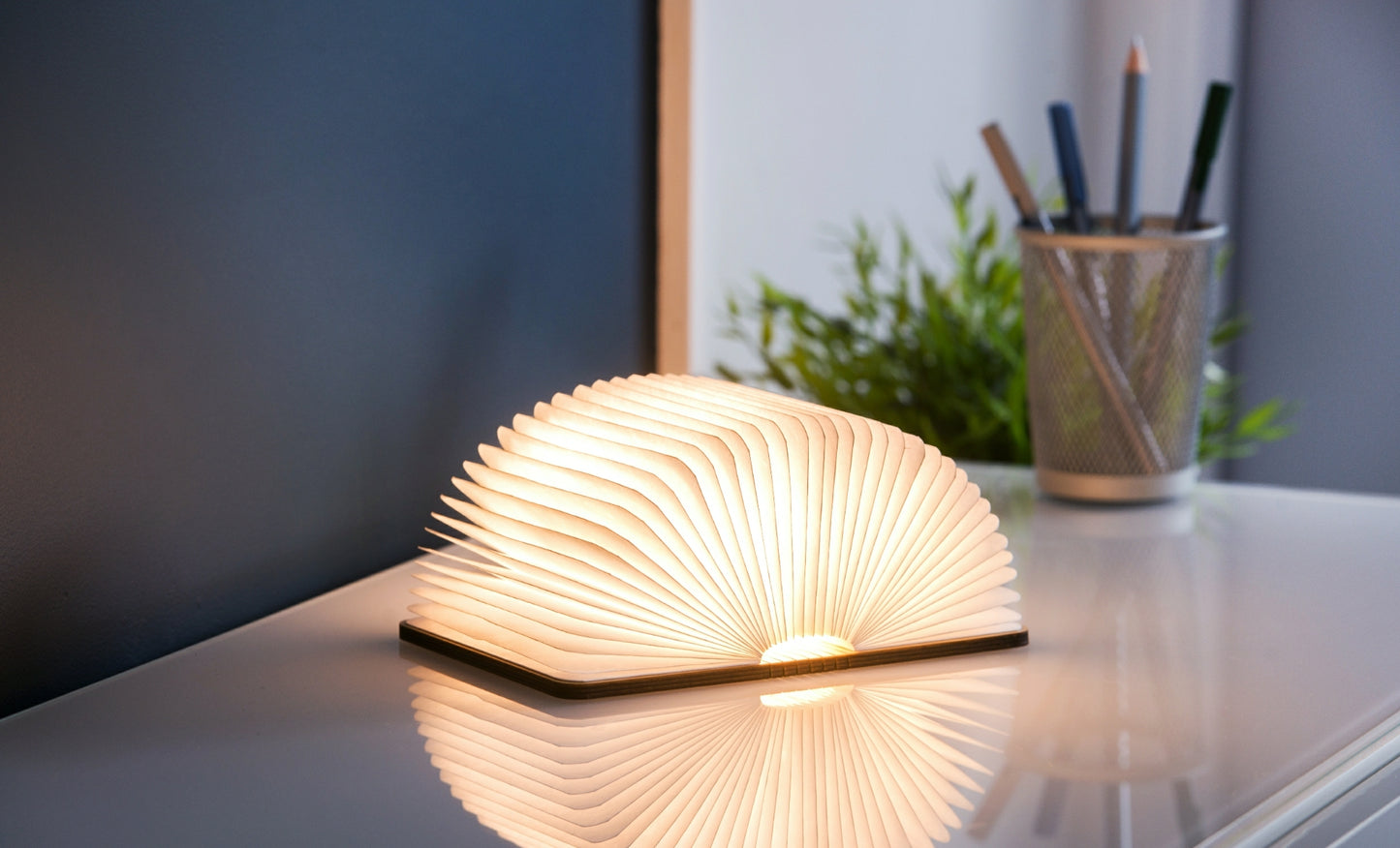 Smart Book Light (Natural Wood)