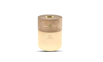 Smart Diffuser Lamp