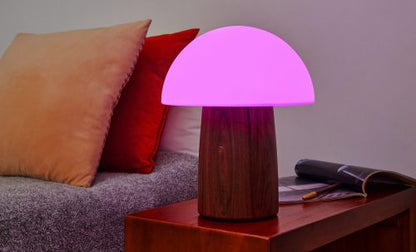 Alice Mushroom Lamp